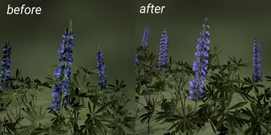 Updated Blue Lupine 1.08