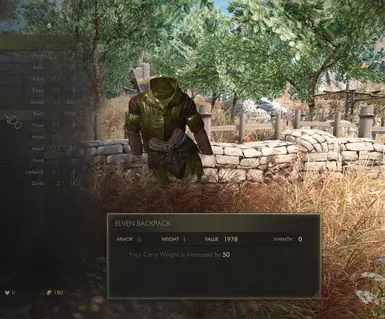 Wood Frame Backpacks - Inventory Image Fix