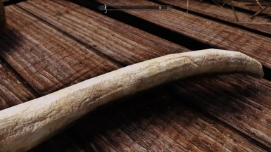 mammoth tusk