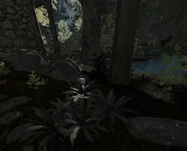 Cathedral PBR Plants