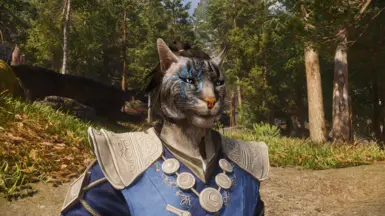 M Khajiit - Ri'zaadzin - Racemenu Preset for LoreRim