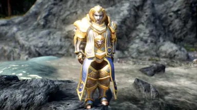 Anduin Wrynn High King of Stormwind Armor HIMBO SoS