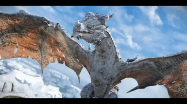 Albino Dragons