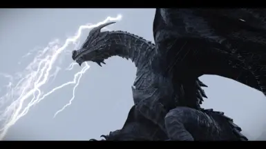 Storm Dragon