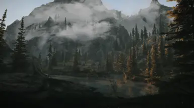 2.0