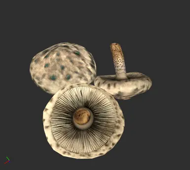 Vanilla