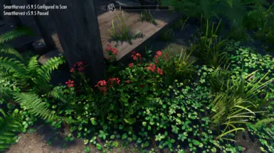 Oh what pretty flowers! I hope I harvest more than one...