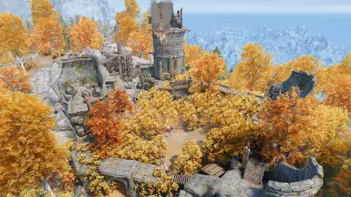 Without Patch