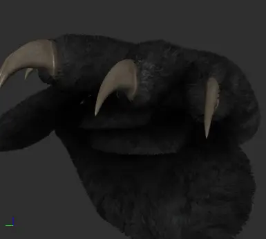 Shell Meshes