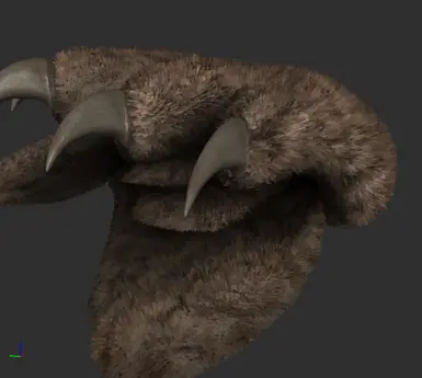 Shell Meshes