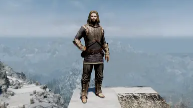 Iron Cuirass (Light)
