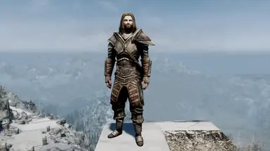 Steel Cuirass (Heavy)