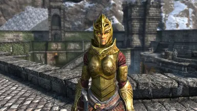 Decorated Helmet