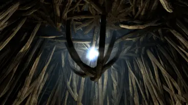 Illia's Tree Root Shelter
