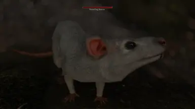 This mod + skeever patch