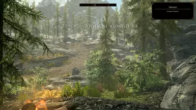 Quick &amp; lazy - Widget