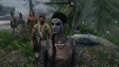 Adryn with Vanilla textures and outfit