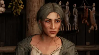 Helgen and Alternate Perspective NPC replacer