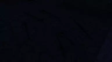 1.1