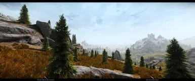 1.0