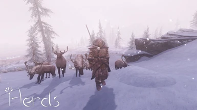 Ingmurd and his reindeers
