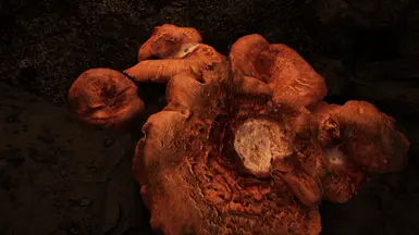 namira's rot