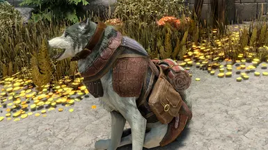 Barding of Bran