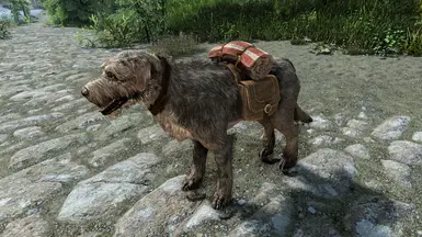 Pouches of Pooches