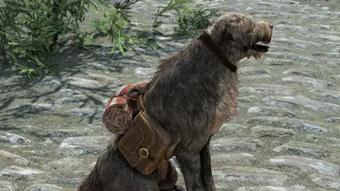 Wares of Wolfhounds