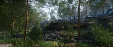 Default Cabbage ENB