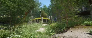 Default Cabbage ENB