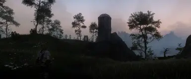 Reshade 1.1 Cold