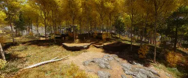 Reshade 1.1 cold