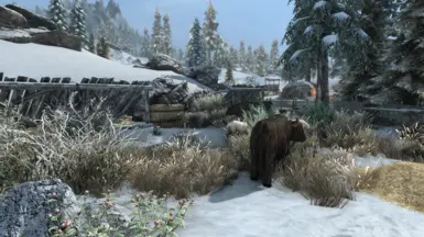 Windpeak Inn Farm.