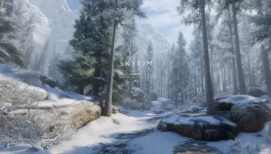 Snowy Path