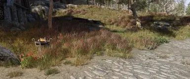 Tundra