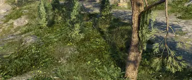 Reach