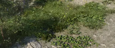 Reach