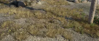 Volcanic Tundra