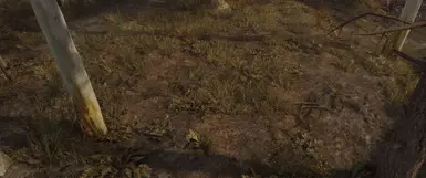 Solstheim