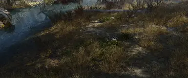 Frozen marshes