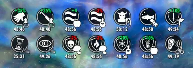 with circular time bar option 2