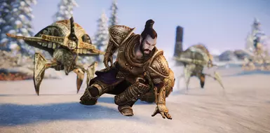 Daznak   13 