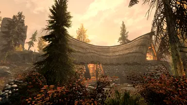 Inn From Backyard - VCO
