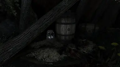BadGremlin's collectable at Witchmist Grove can now actually be found without TCL