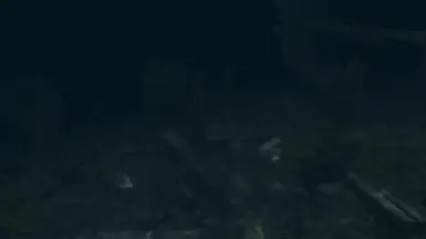 15 Sea floor debris