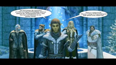 Inconsequential NPCs - Winterhold