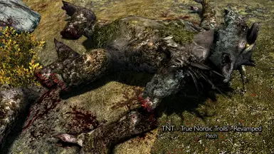 Dismembering Framework patch