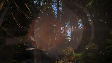 Fabled Forests