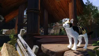 Kitty approved